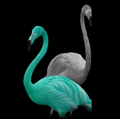 The Bright Light Comany Webdesign