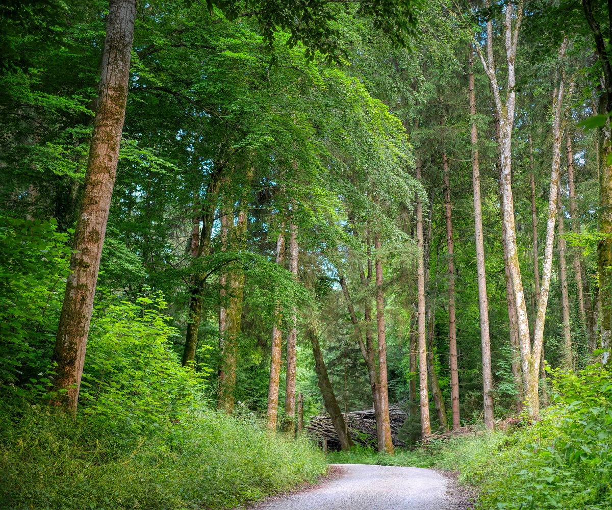 Umwelttipp: Günstig und unabhängig heizen Umwelttipp: Günstig und unabhängig heizen